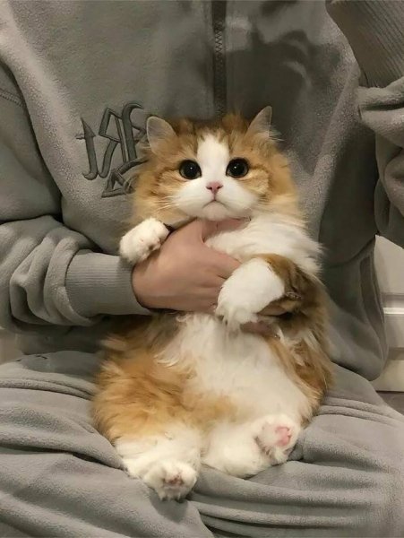 file_100755349