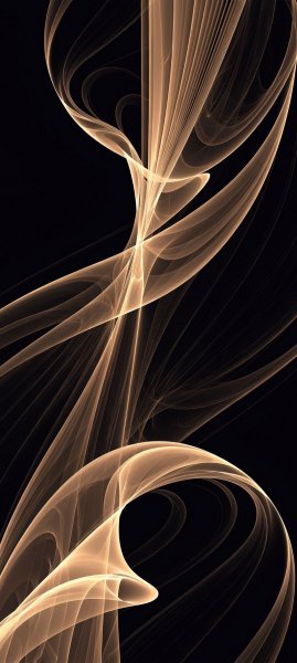 adapted 1080x2408 1776170520