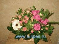 file_85269152