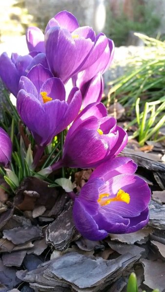 file_96281782