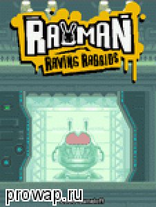 RayMAN