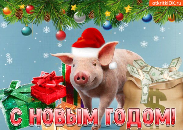 s-novym-godom-god-svini