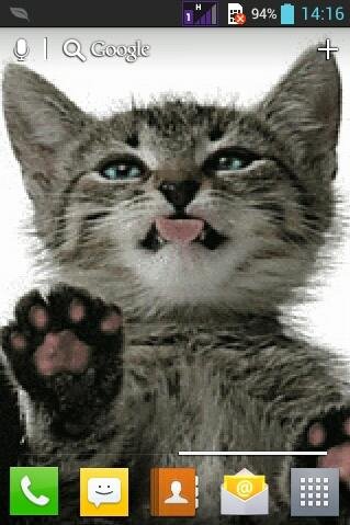 com.wickedfreeapps.screenlickingcat-1