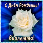 С Днём Рождения Виолетта!