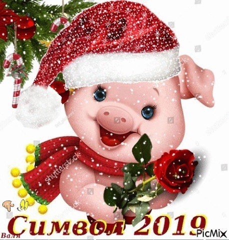 IMG-20181211-WA0004