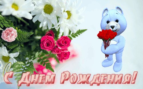 СДР РозыРомашки