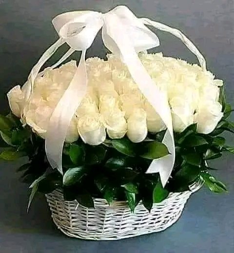 file_95827550