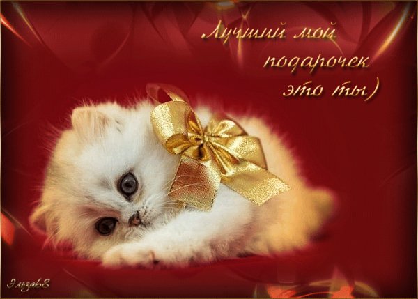 Лучший мой подарочек