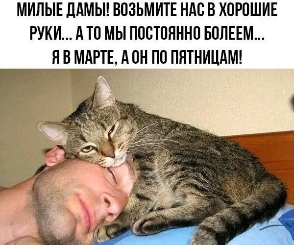 file_103452036