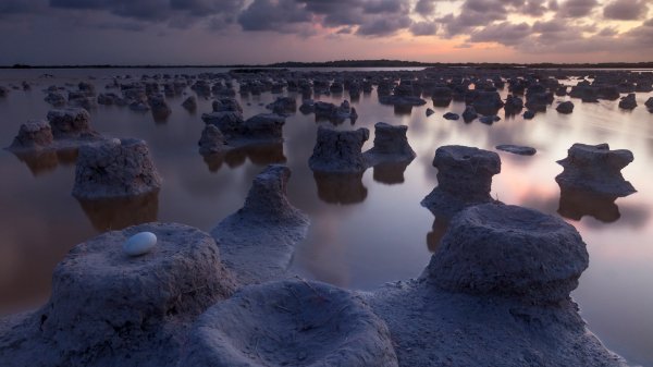 YucatanBiosphere ROW8274257412 UHD
