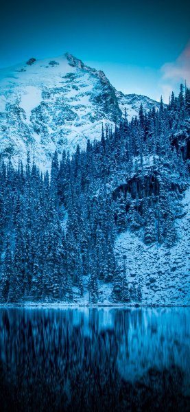 file_101682080