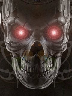 Skull29240x320