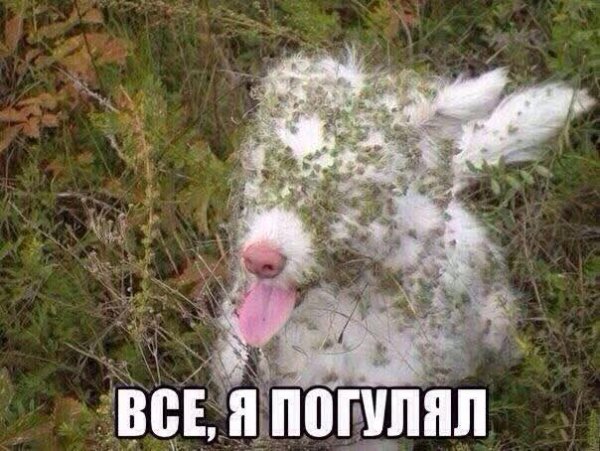 FB IMG 1760867175173