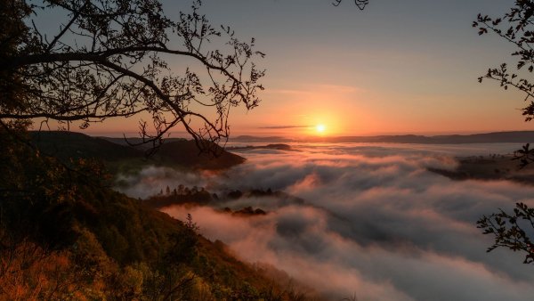 file_81388824