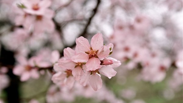 file_80684924