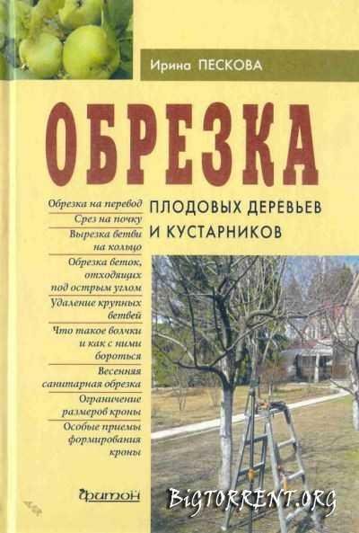 Обрезка плодовых деревьев и кустарников