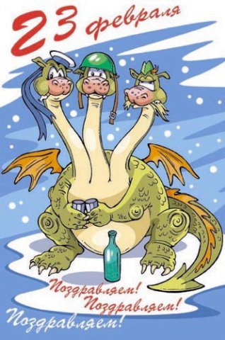 cards528