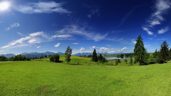 IMG 20230628 161631 243