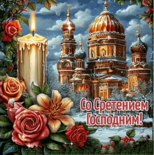 IMG 20260215 014439