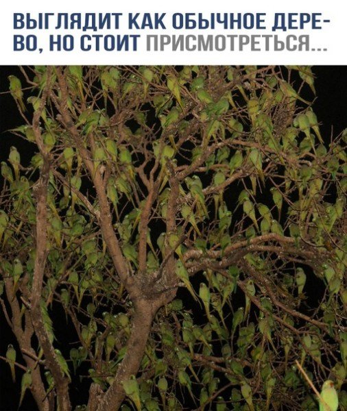 file_95630272