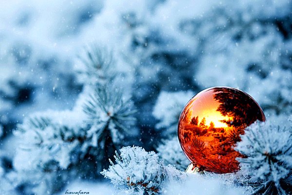 Новогодняя