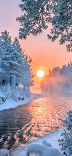 file_91912905