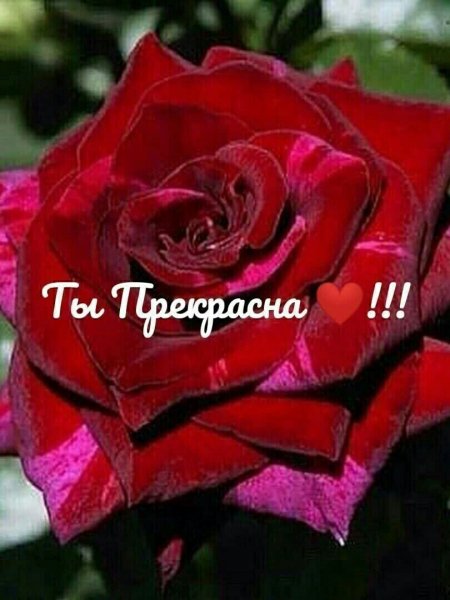 IMG 20241228 173023