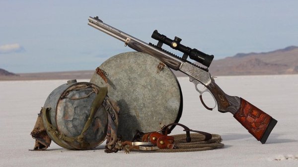 MARLIN MODEL 1895 SBL