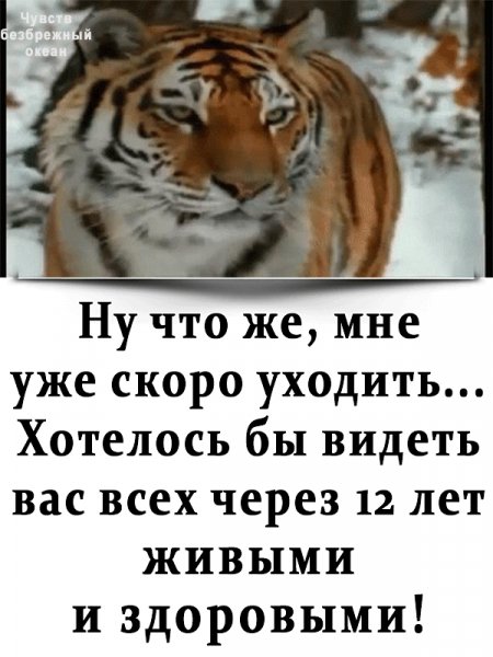 2F705115-738C-4366-9B8F-7604E8152FE3