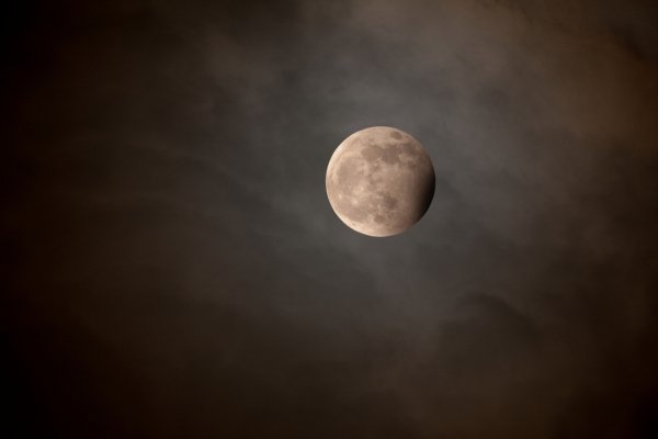 file_74595461