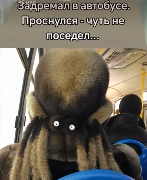 FB IMG 1743609710979
