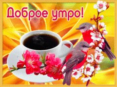 Доброе утро!!
