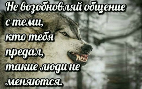 Жизнь как качели