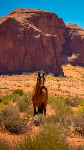 wallpaper 540x960 2 39