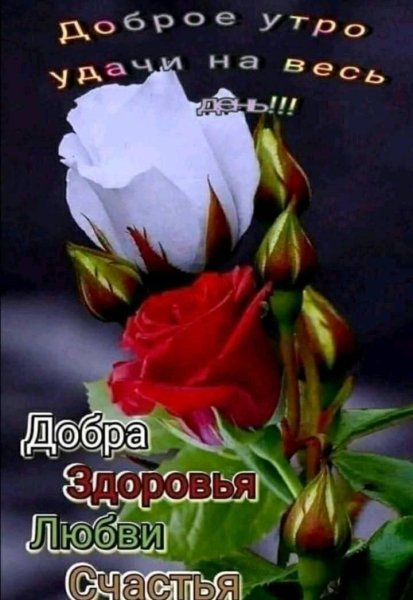 Доброе утро
