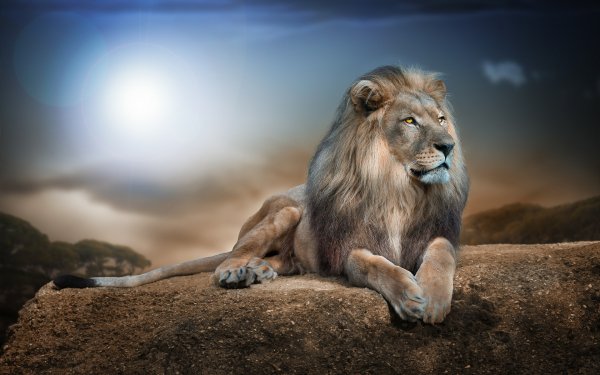 Wallpapers 2940