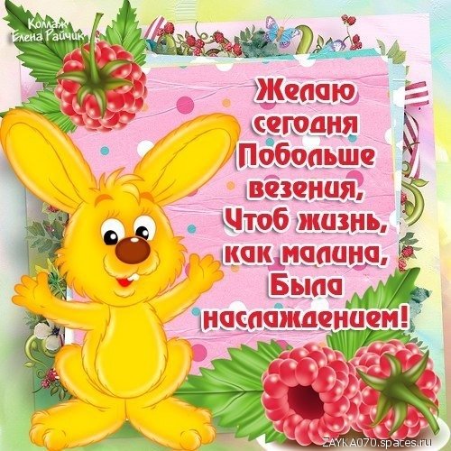 жизнь-малина