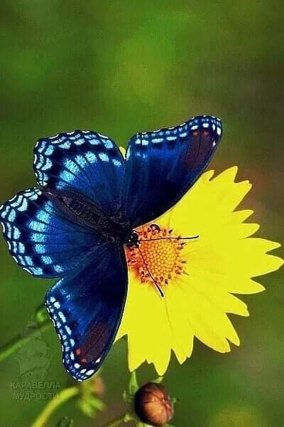 FB IMG 1714605324231