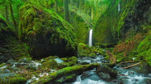 Водопад Мосси Гротто Mossy Grotto Falls UHD обои 4К