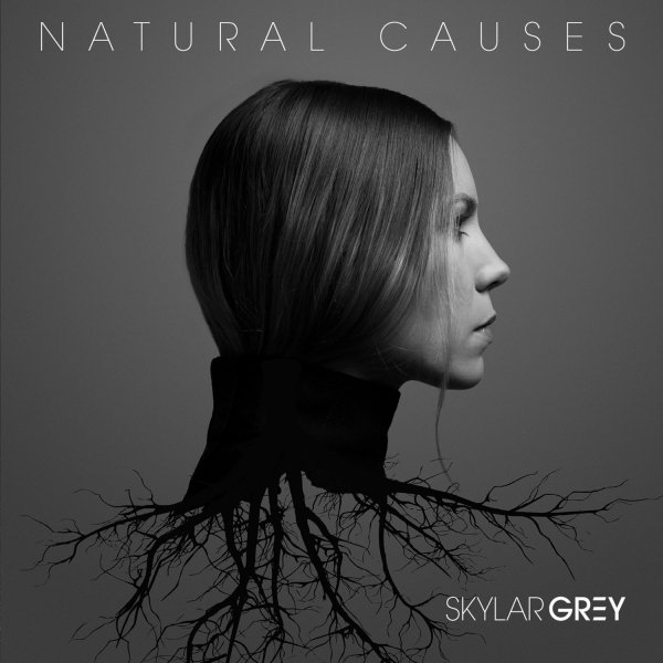 Skylar Grey &amp; Eminem - Kill for You