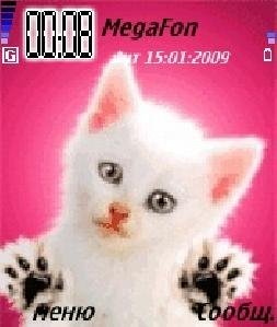 animated cat
