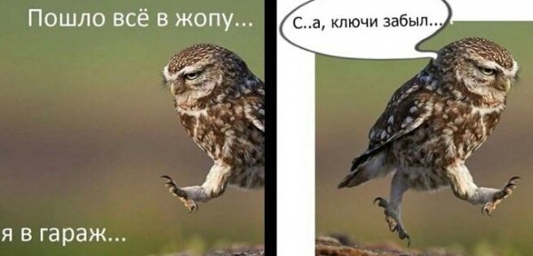 Хх