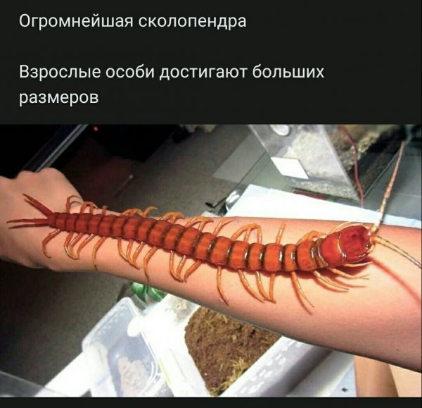 file_86427923