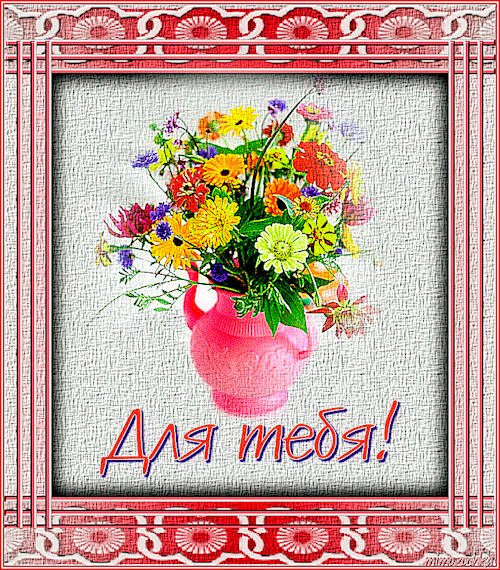 0 b8f3a e60e0c13 XL