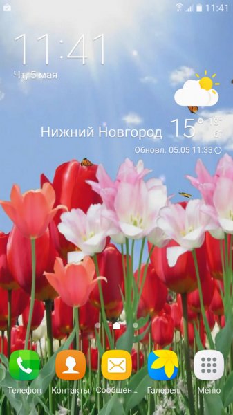 Butterfly Live Wallpaper HD - v.2