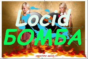 locid vkontakte