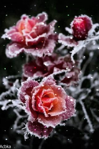 file_75764107