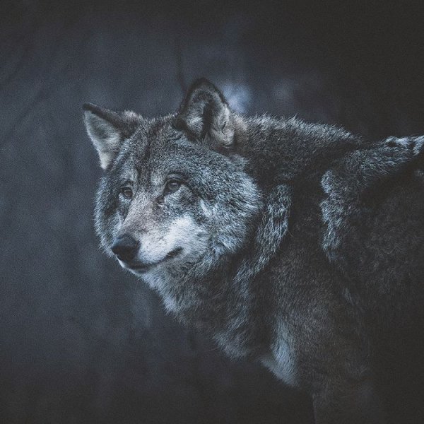 L5-ulxHobNg