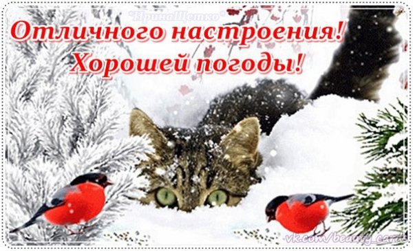 Хорошей погоды