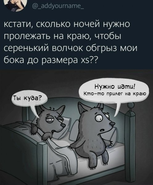 file_100925537